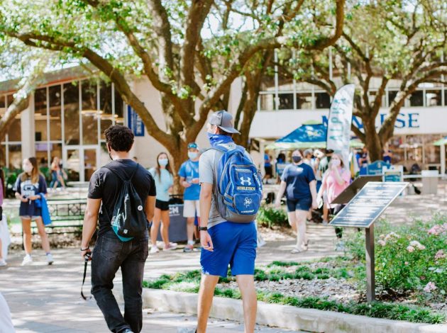 mcneese